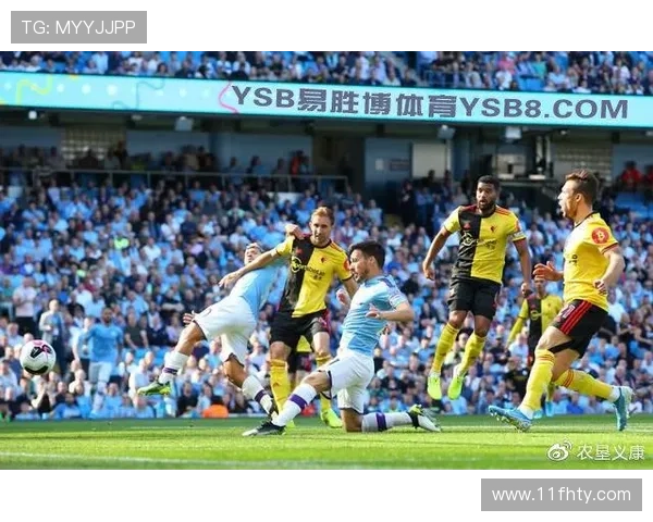 全面解析ysb易胜博体育官方登录网站的优势与特点